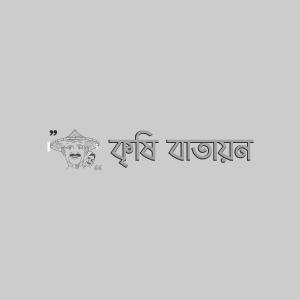 BU ফুলকপি- ১